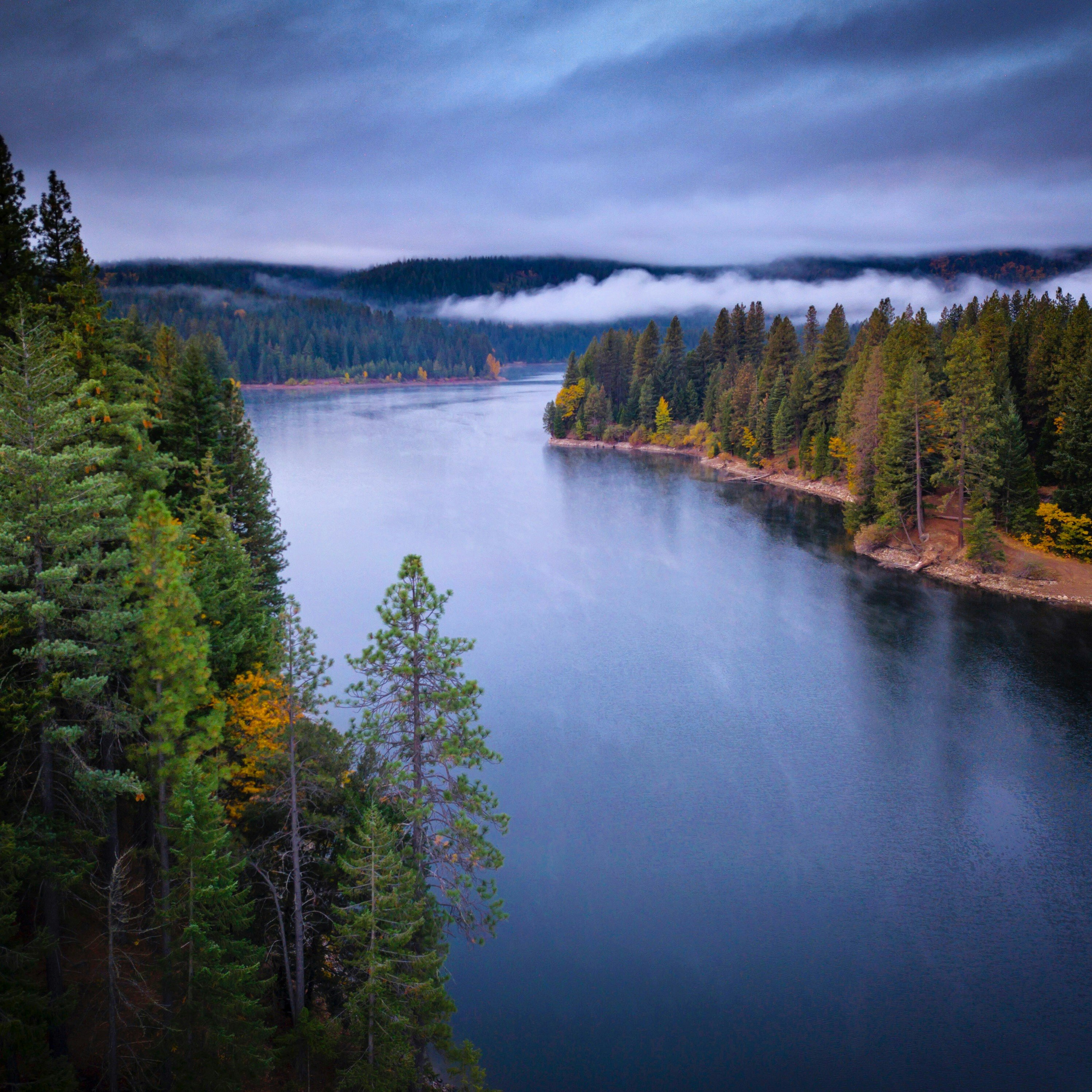 trees near body of water under cloudy sky